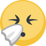 🤧